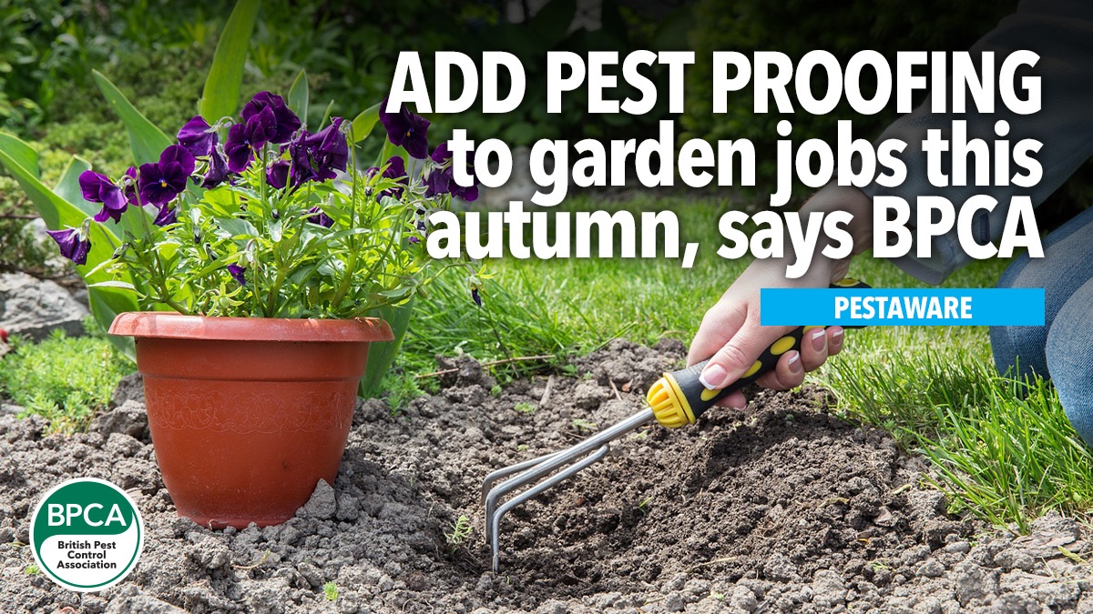 add-pest-proofing-to-garden-jobs-autumn-hero